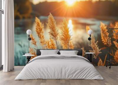 Serene landscape of reed meadow by river at sunset picturesque scene capturing tranquil beauty of nature with golden sunlight reflecting on water perfect for backgrounds depicting environments Wall mural