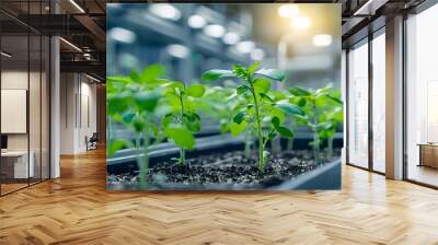 Thriving Plants in a Cutting Edge Biotechnology Facility Wall mural