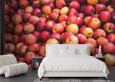  Apples red  close-up isolated in the market on background. Wall mural