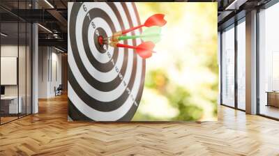 Close up shot of the dart arrow hit on bullseye, red dart arrow hitting in the target center of dartboard Target hit in the center, challenge in business marketing,Target and goal as concept. Wall mural