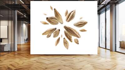 Barley malt grains levitate on a white background Wall mural