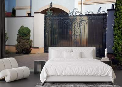 black private metal gates with a wrought pattern on the street near the gray pavement Wall mural