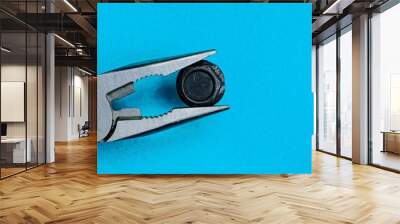 gray steel pliers hold a black bolt on a blue background Wall mural