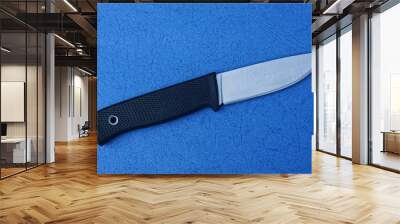 one knife with a black handle lies on a blue table Wall mural