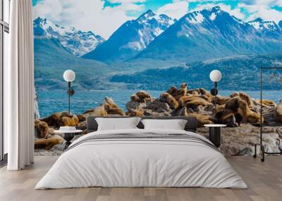 Beagle Channel Sea Lions of Ushuaia Wall mural