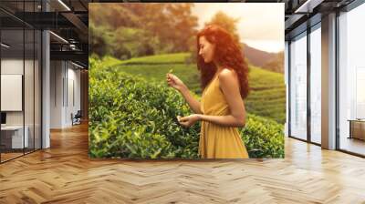 Traveler woman picking up green tea leaves in hand during her travel to famous nature landmark tea plantations in Nuwara Eliya, Sri Lanka. Gorgeous brunette Caucasian girl enjoying her vacations Wall mural