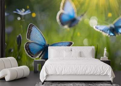 Blue butterflies on green spring meadow with amazing natural lighting Wall mural