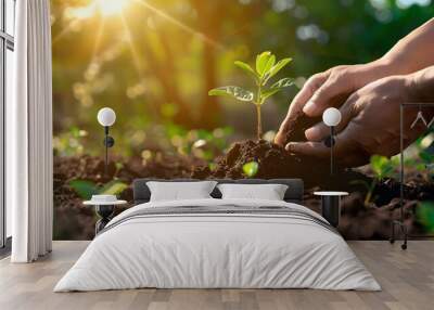 Close-up of hands nurturing and planting a young tree Wall mural