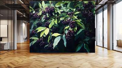 elderberries on the bush Wall mural