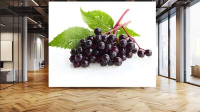 Fresh elderberry with water drops in white background Wall mural