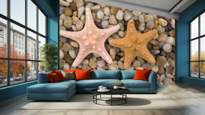 starfish Wall mural