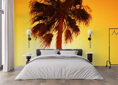 palm tree at sunset light Wall mural