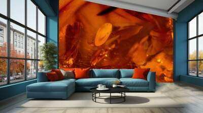 Close up view of natural translucent amber. Wall mural