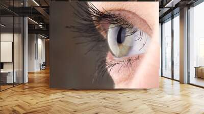 Close-up of eye, the human eye sideways,girl's eyes with big eyelashes, natural beauty Wall mural