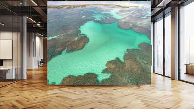 Vacation on deserted beach with natural pools of in Brazil. São Miguel dos Milagres, Alagoas, Brazil. Fantastic landscape. Great beach scenery. Paradise beach. Brazillian Caribbean. Wall mural