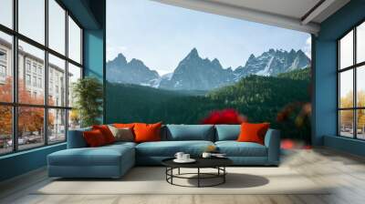 view of Mount Mont Blanc from Chamonix Wall mural