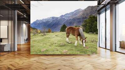 horses grazing in a meadow surrounded by mountains Wall mural