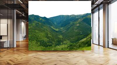 mountain landscape. Isolated  Wall mural