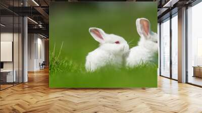 Baby white rabbit in grass Wall mural