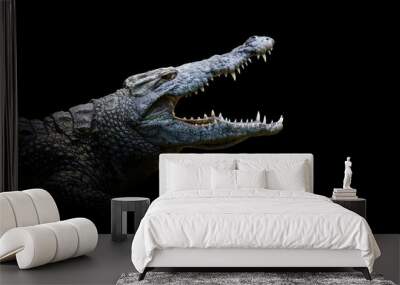 Close crocodile portrait on black background Wall mural