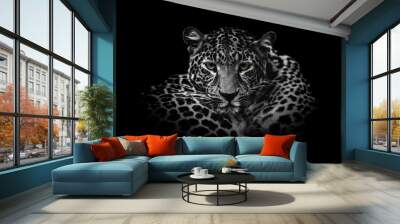 Close up black and white adult leopard portrait. Animal on dark background Wall mural