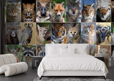 close up collage of 33 portraits of animals Wall mural