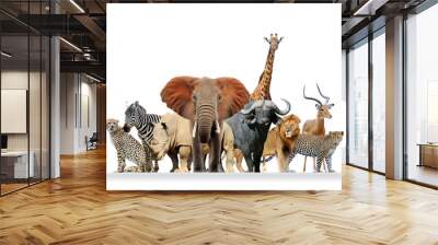 Group of African safari animals together Wall mural