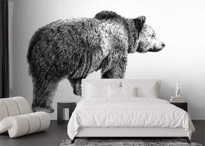 Hand drawn bear, sketch graphics monochrome illustration Wall mural