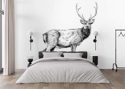 Hand drawn deer, sketch graphics monochrome illustration Wall mural