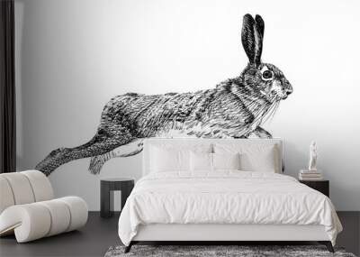 Hand drawn hare, sketch graphics monochrome illustration Wall mural