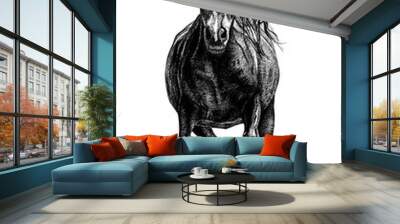 Hand drawn horse, sketch graphics monochrome illustration Wall mural