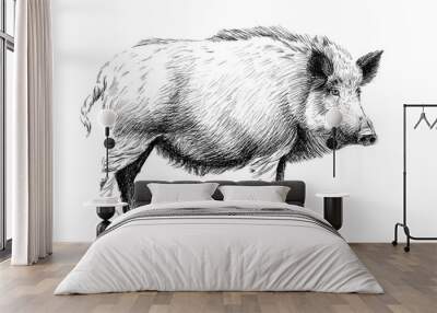 Hand drawn wild boar, sketch graphics monochrome illustration Wall mural