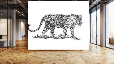 Leopard hand drawn illustrations Wall mural