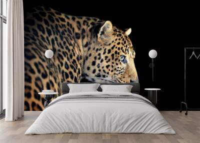 Leopard portrait on dark background Wall mural