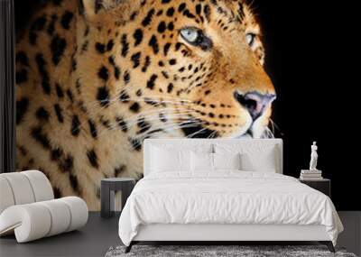 Leopard portrait Wall mural