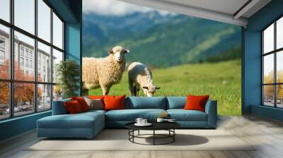 Mountain sheep grazing on pasture in summer on mountain background Wall mural