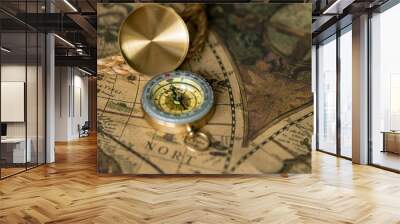 Old compass on vintage map with rope Wall mural