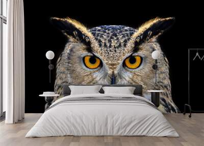 Owl looking big eyes out of the darkness close Wall mural