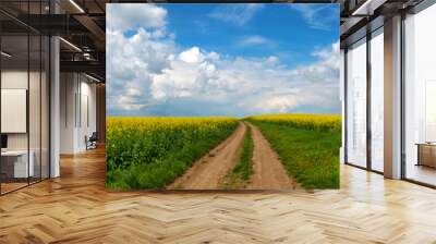 Road in rield of yellow rapeseed against and blue sky Wall mural