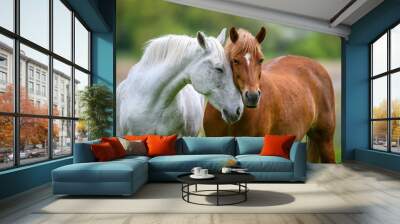 Two horses embracing in friendship Wall mural