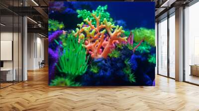 Underwater world fish Aquarium Wall mural