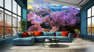 Underwater world fish aquarium Wall mural