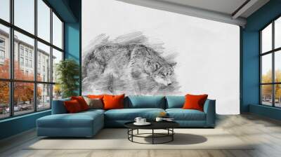 Wolf. Sketch with pencil Wall mural