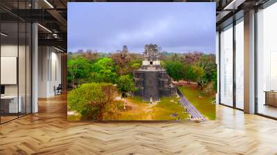 Pyramid in the Peten Guatemala, Temple of the Moon or Temple II, is a funerary-ceremonial temple built in 700 AD. C. by the Mayan civilization. Wall mural