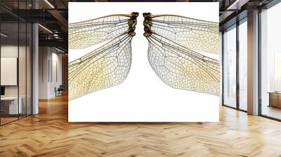 The two dragonfly wings Wall mural