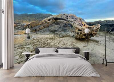 Driftwood and Boulders 03 Wall mural