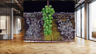 Green Grapes with Lichen 01 Wall mural