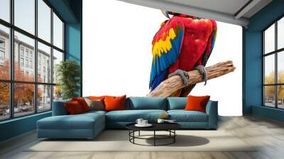 Red and yellow macaw isolated on transparent background Wall mural