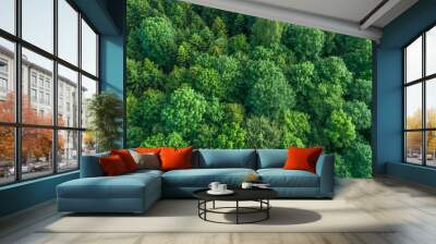 Aerial view of green deciduous treetops in forest, Germany Wall mural