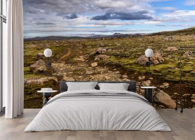 overcoming obstacles on a callenging gravel road - impediment removal, iceland Wall mural